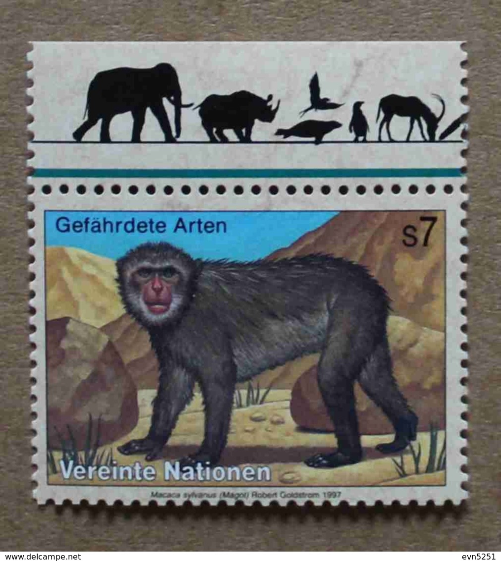 Vi97-01 : Nations-Unies (Vienne) / Protection De La Nature - Macaque De Barbarie (magot Ou Macaque Berbère) - Neufs