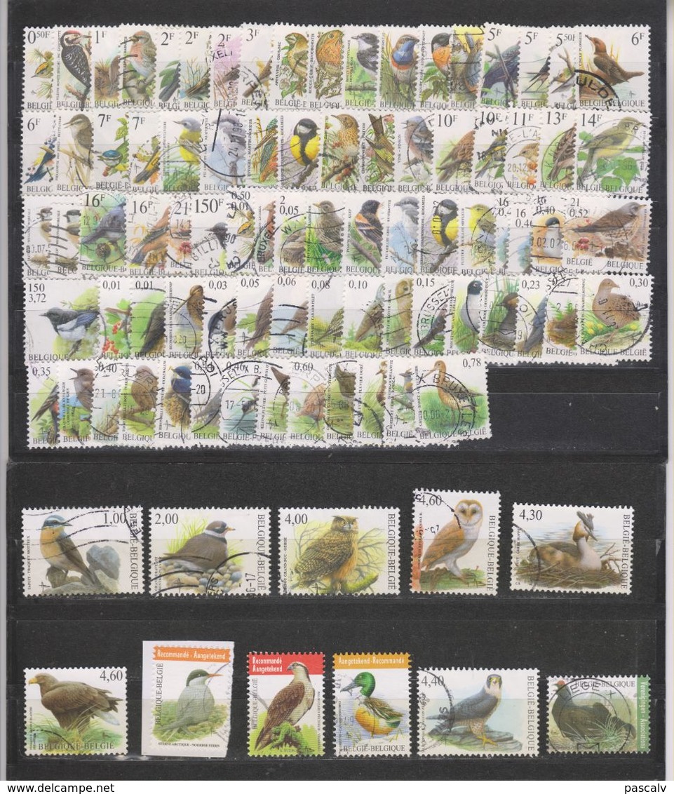 Très Bel Ensemble Oiseaux De Buzin Oblitérés 92 Timbres Tous Différents Avec Les Grosses Valeurs - 1985-.. Pájaros (Buzin)