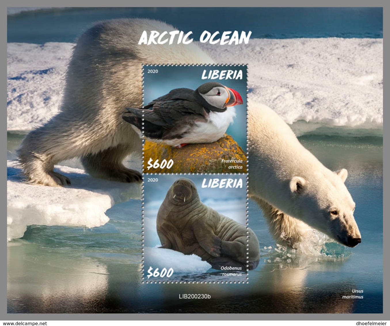 LIBERIA 2020 MNH Arctic Oceans Artische Tierwelt Océans Arctiques S/S - OFFICIAL ISSUE - DHQ2027 - Fauna ártica