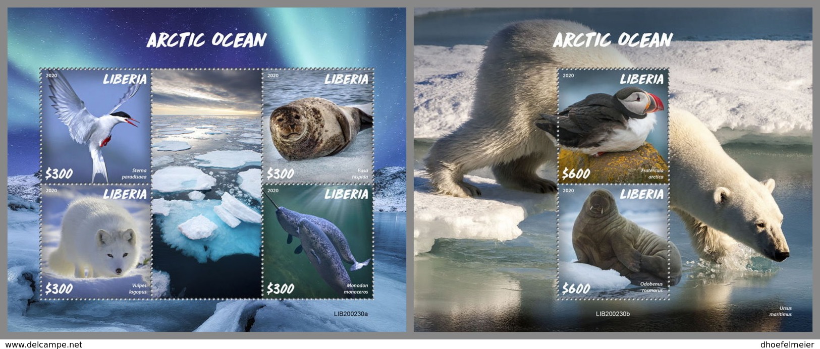 LIBERIA 2020 MNH Arctic Oceans Artische Tierwelt Océans Arctiques M/S+S/S - OFFICIAL ISSUE - DHQ2027 - Arctic Wildlife