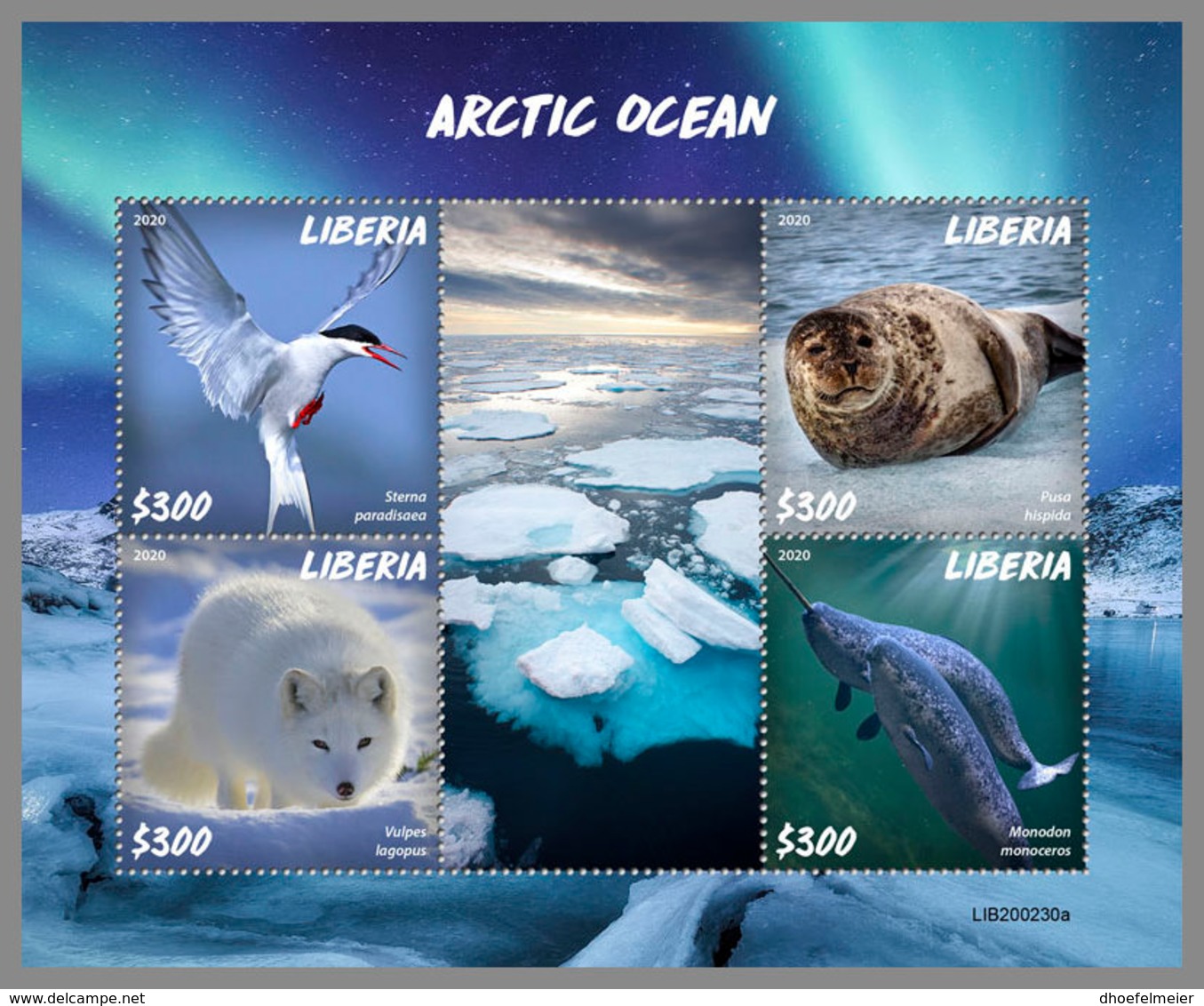 LIBERIA 2020 MNH Arctic Oceans Artische Tierwelt Océans Arctiques M/S - IMPERFORATED - DHQ2027 - Arctic Wildlife