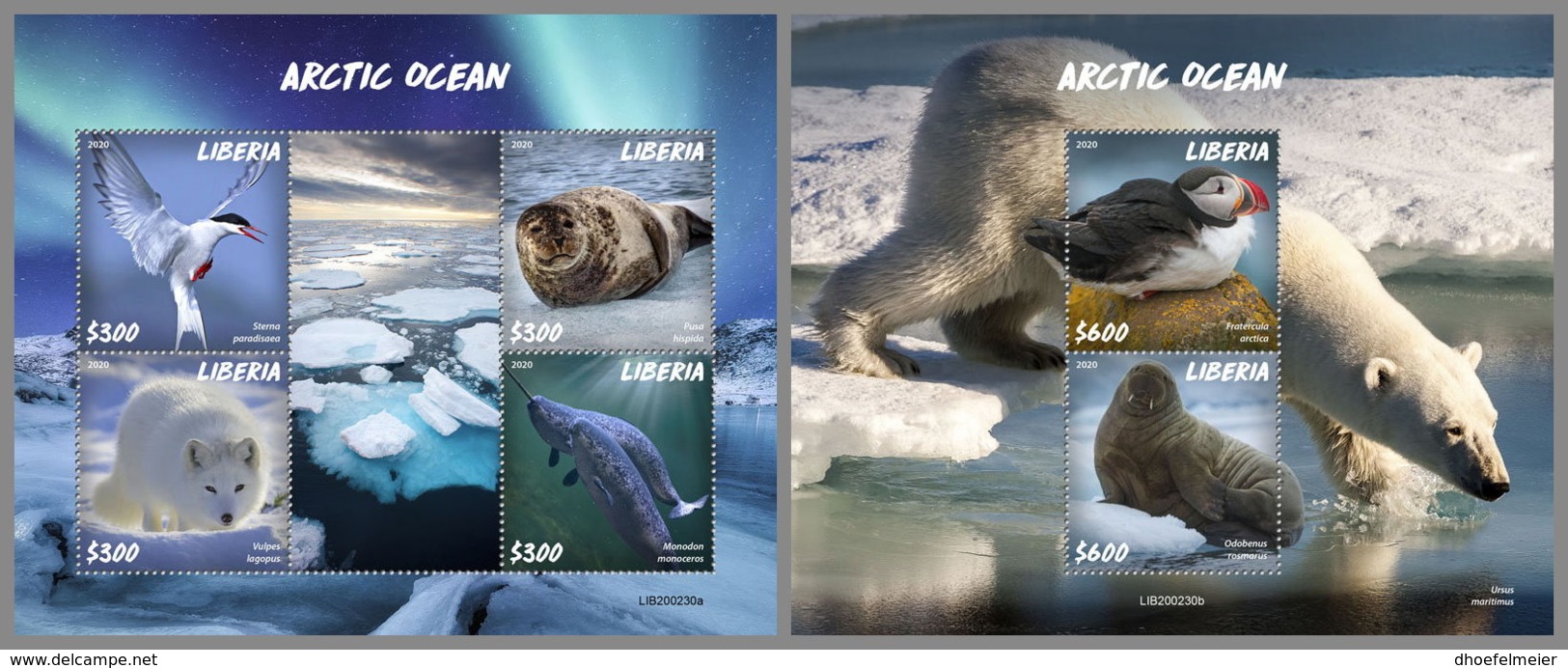 LIBERIA 2020 MNH Arctic Oceans Artische Tierwelt Océans Arctiques M/S+S/S - IMPERFORATED - DHQ2027 - Arctic Tierwelt