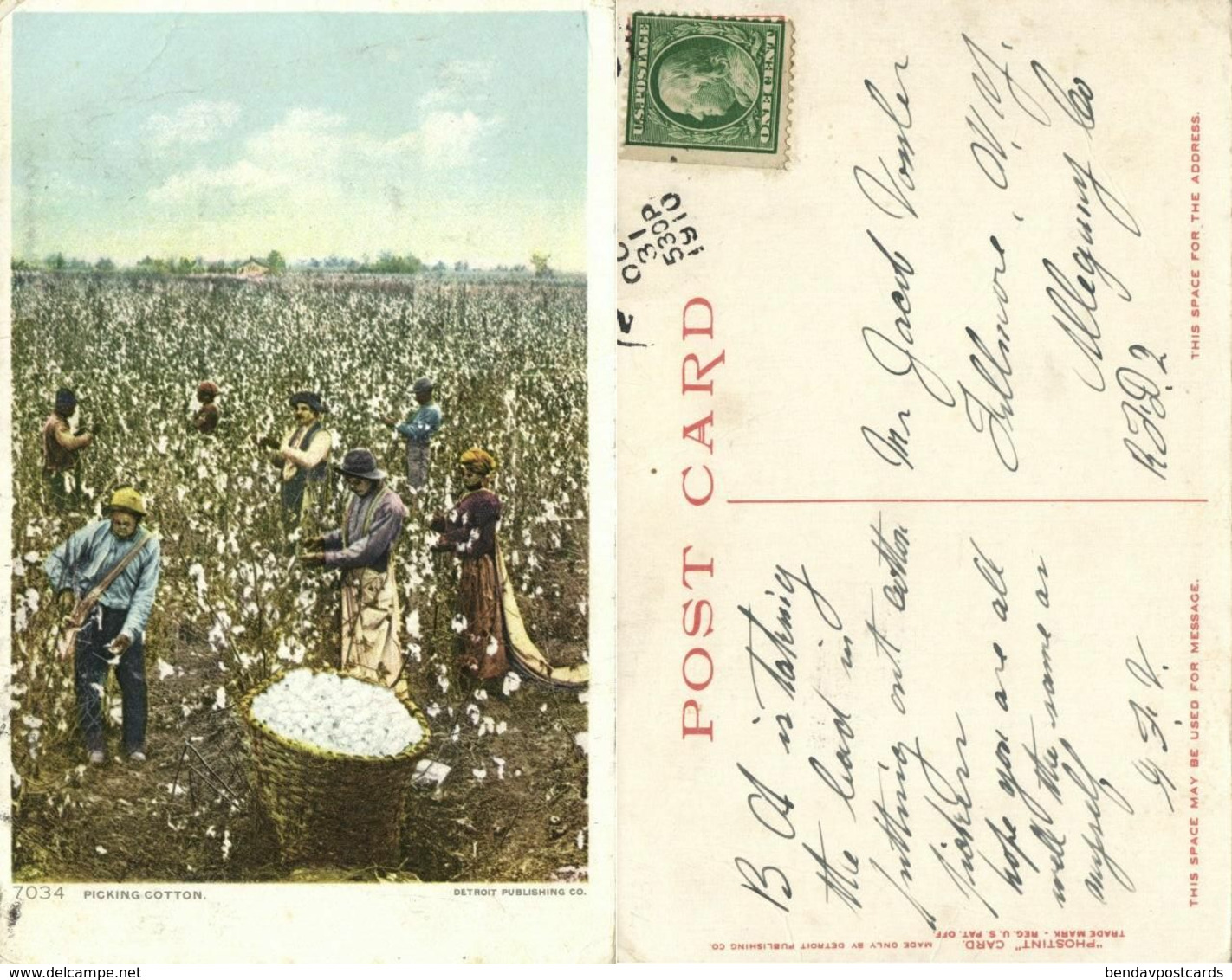 Black Americana, "Picking Cotton" (1910) Detroit Publishing Co. 7034 Postcard - Black Americana
