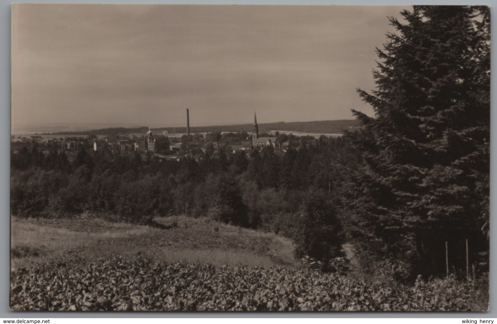 Falkenstein Im Vogtland - S/w Blick Von Der Hanneloh - Falkenstein (Vogtland)