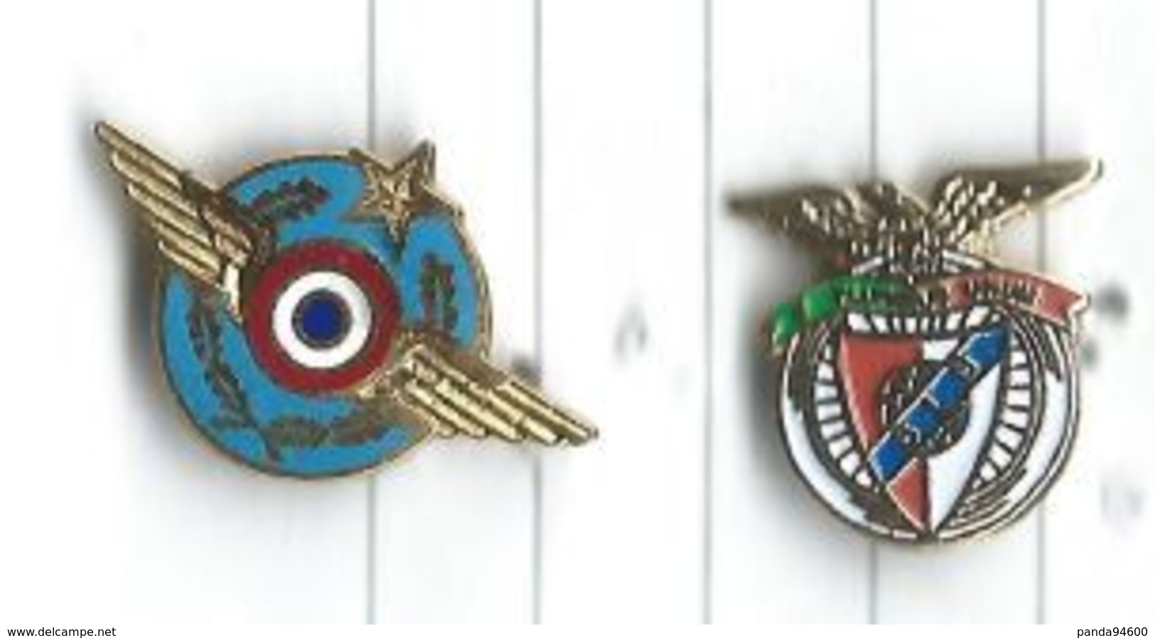 Médailles Militaires Lot 2 Pins - Militares