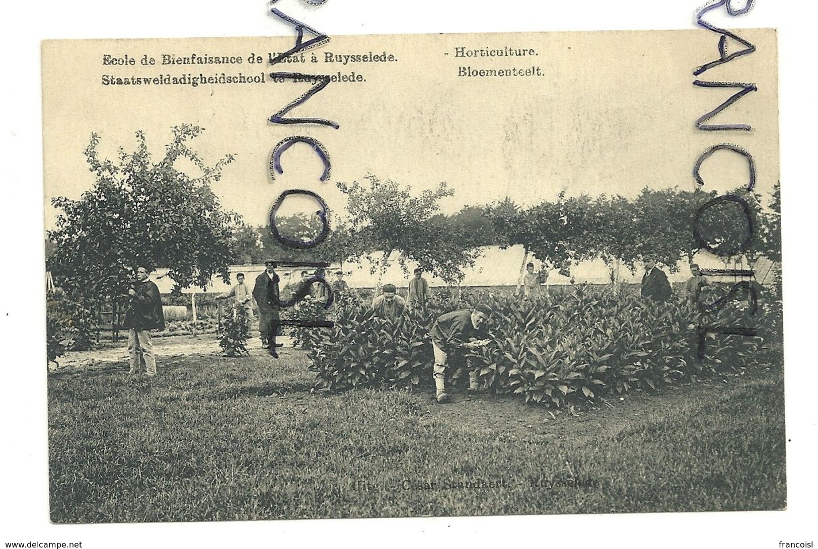 Ecole De Bienfaisance De L'etat à Ruysselede. Horticulture - Ruiselede