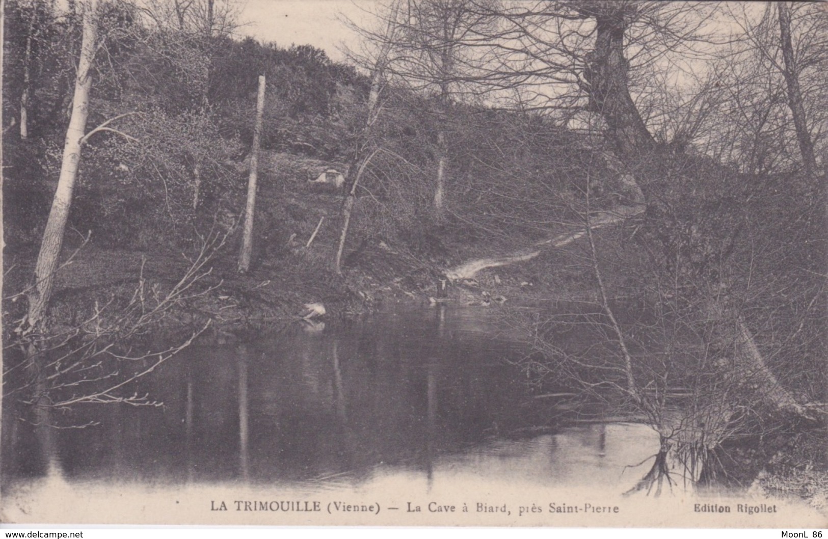 86 - LA TRIMOUILLE - LA CAVE A BIARD PRES SAINT PIERRE - La Trimouille