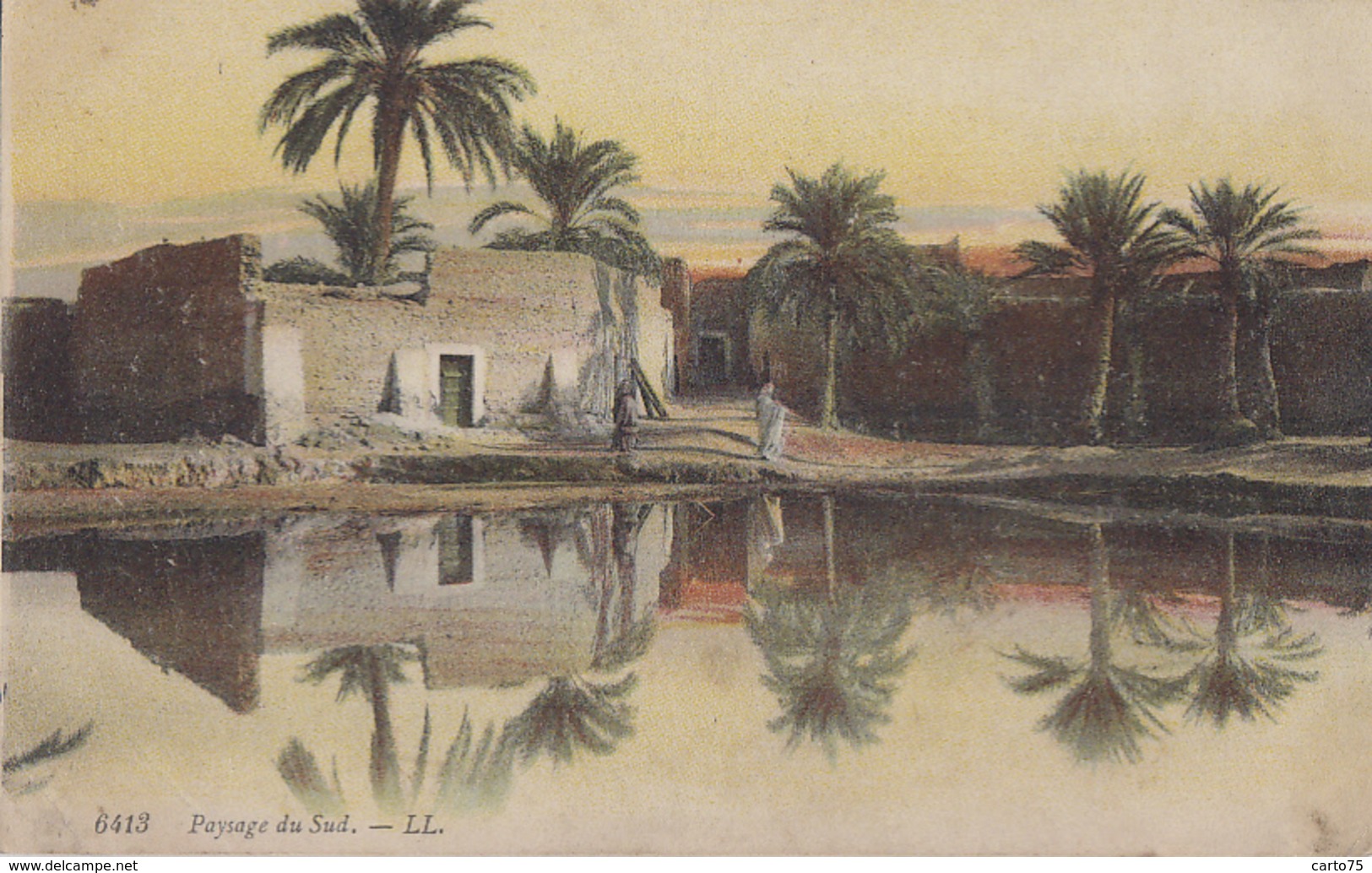 Algérie - Tunisi - Maroc - Paysage Du Sud - LL Colorisée N° 6413 - Palmiers - Scènes & Types