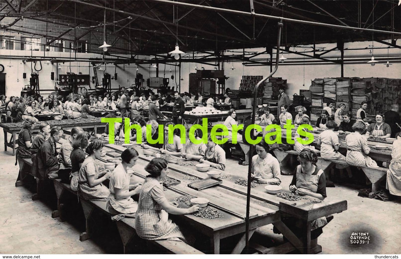 CPA OOSTENDE OSTENDE CARTE DE PHOTO ANTONY FOTOKAART OSTENDIA USINE FABRIEK BREDENENE BREEDENE SAS - Oostende