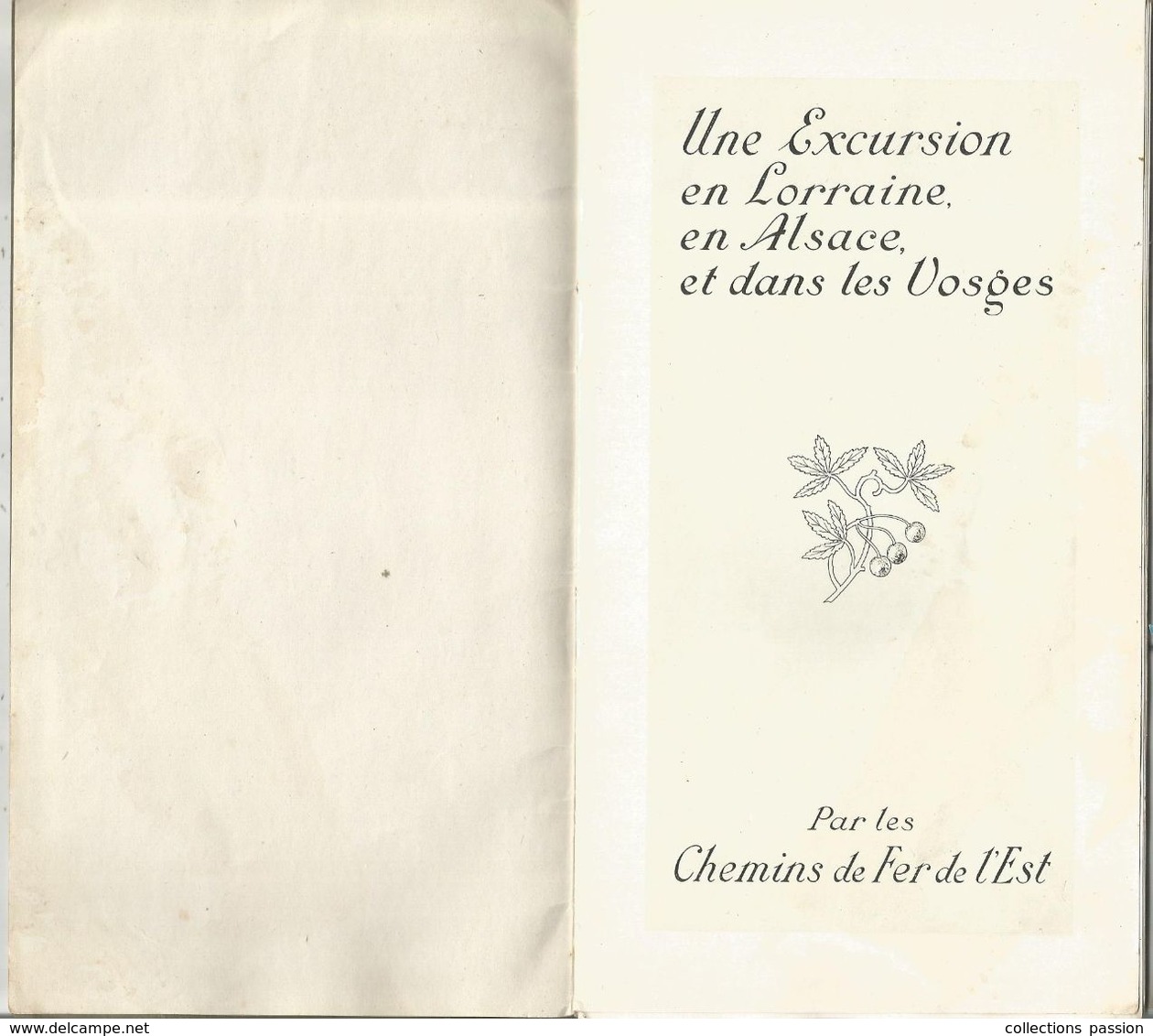 Régionalisme , LA LORRAINE L'ALSACE LES VOSGES , Chemins De Fer De L'Est , 20 Pages ,1 Carte,  8 Scans, Frais Fr 3.15 E - Alsace