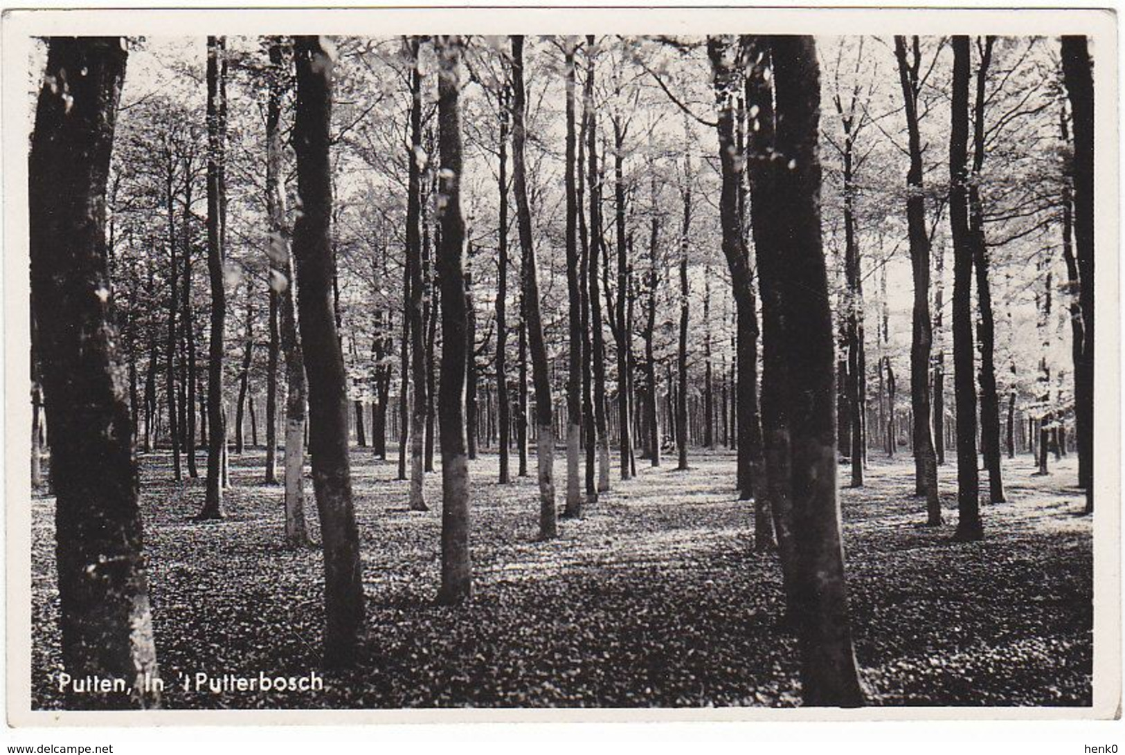 Putten In Het Putterbosch MK112 - Putten