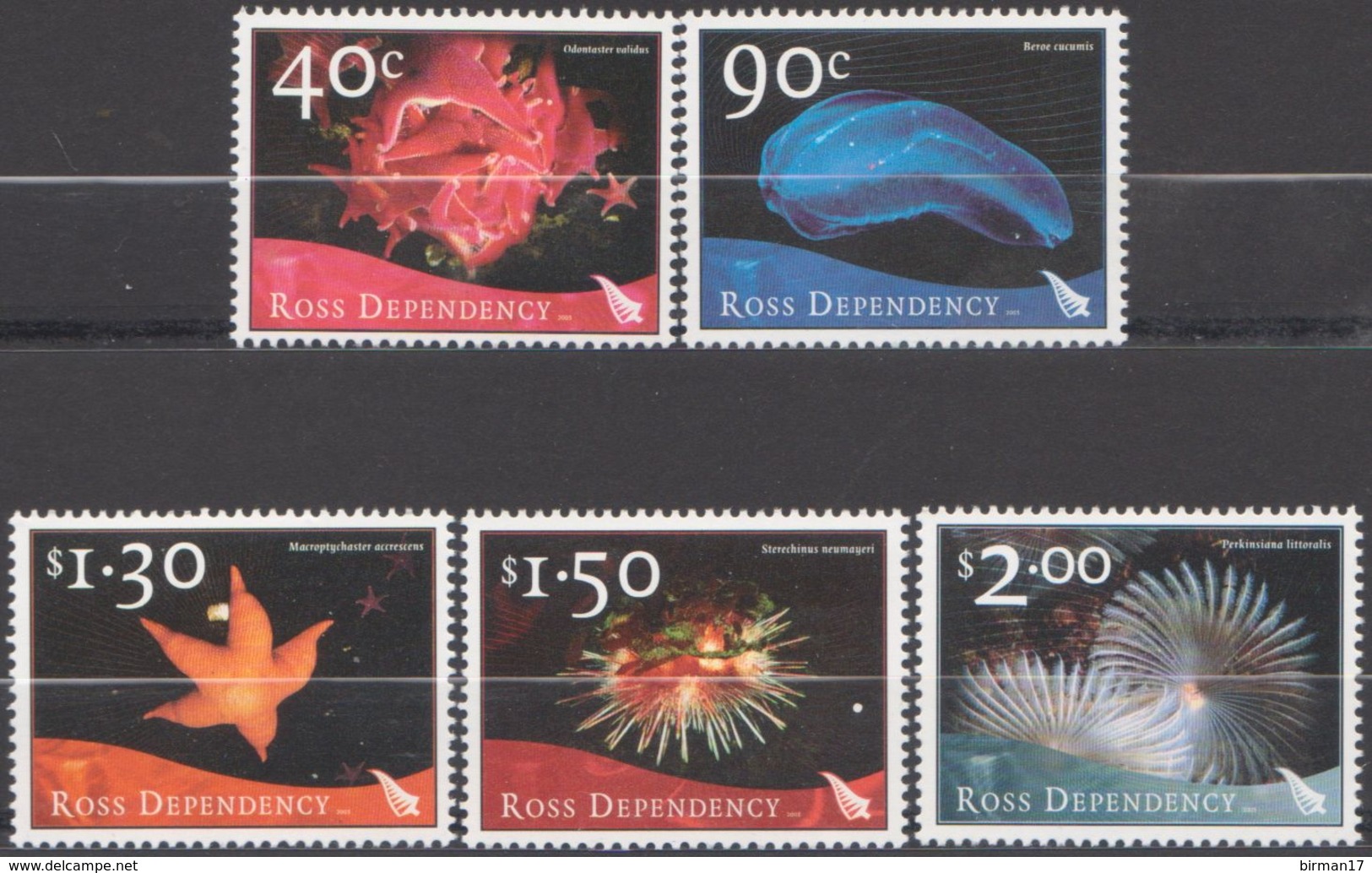 ROSS DEPENDENCY 2003 5 TP Marine Life N° 90 à 94 Y&T Neuf ** Mnh - Ongebruikt