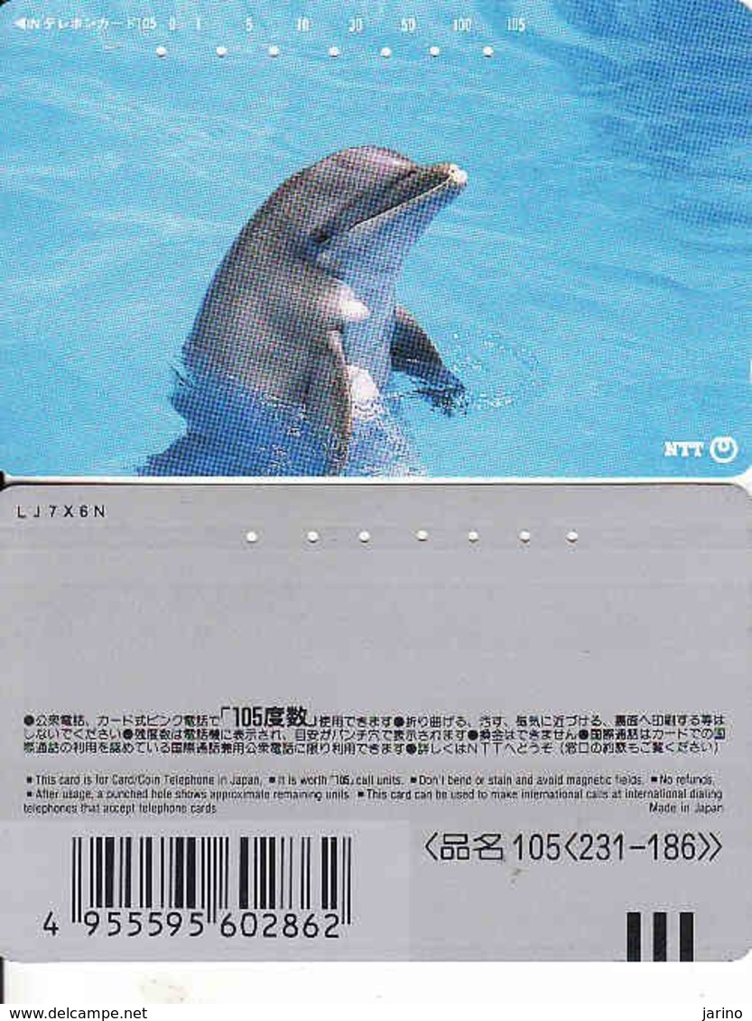 Japan, 105-231-186, Dolphin,  Fauna, Animal - Delfines