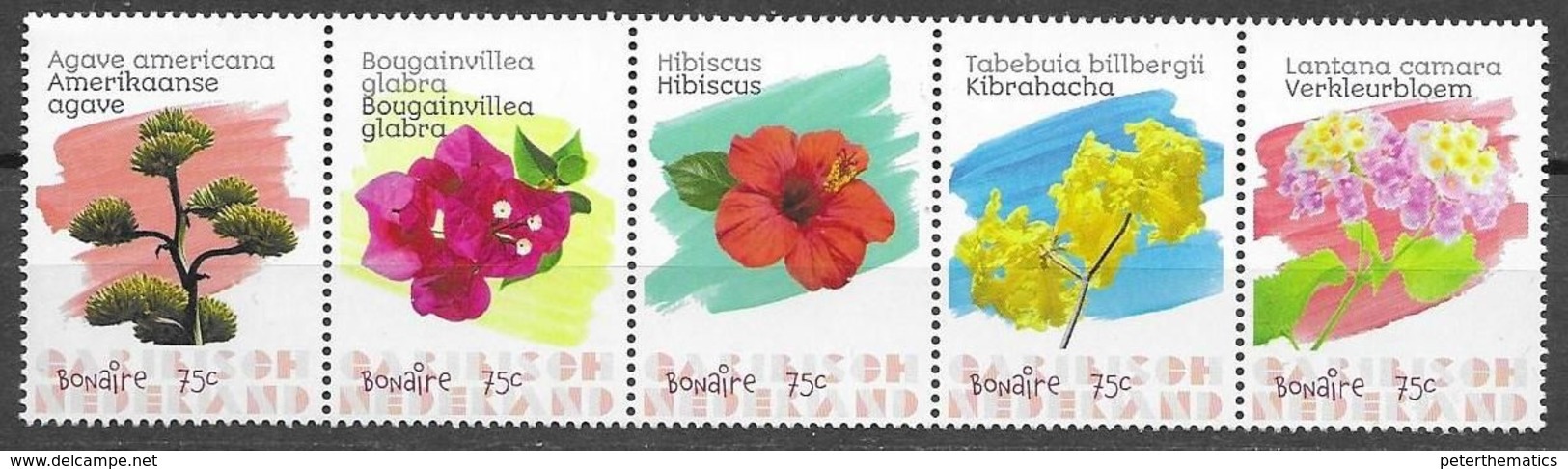 CARIBBEAN NETHERLANDS, BONAIRE, 2020, MNH, FLOWERS, HIBISCUS, BOUGAINVILLEA, 5v - Other & Unclassified