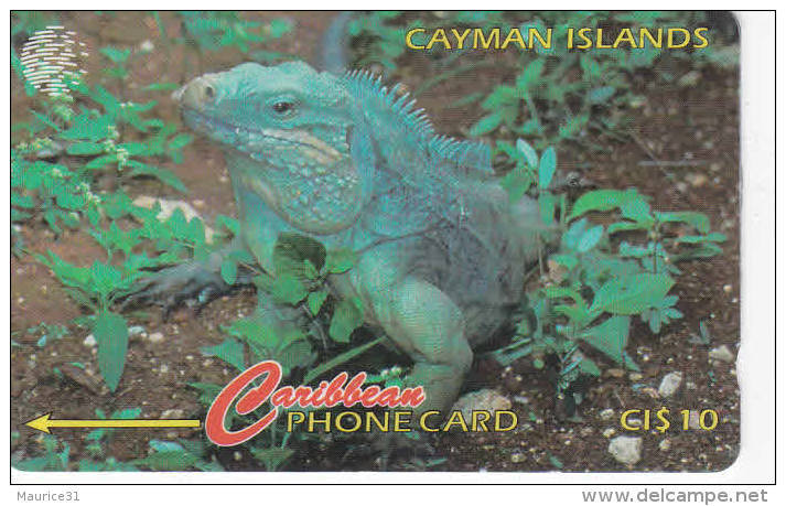 ILES CAYMAN Lot1 - Kaimaninseln (Cayman I.)