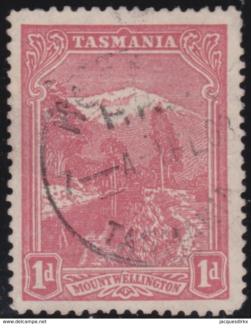 Tasmania     .    SG        .   240d       .        O       .       Oblitéré    .   /   .   Cancelled - Used Stamps