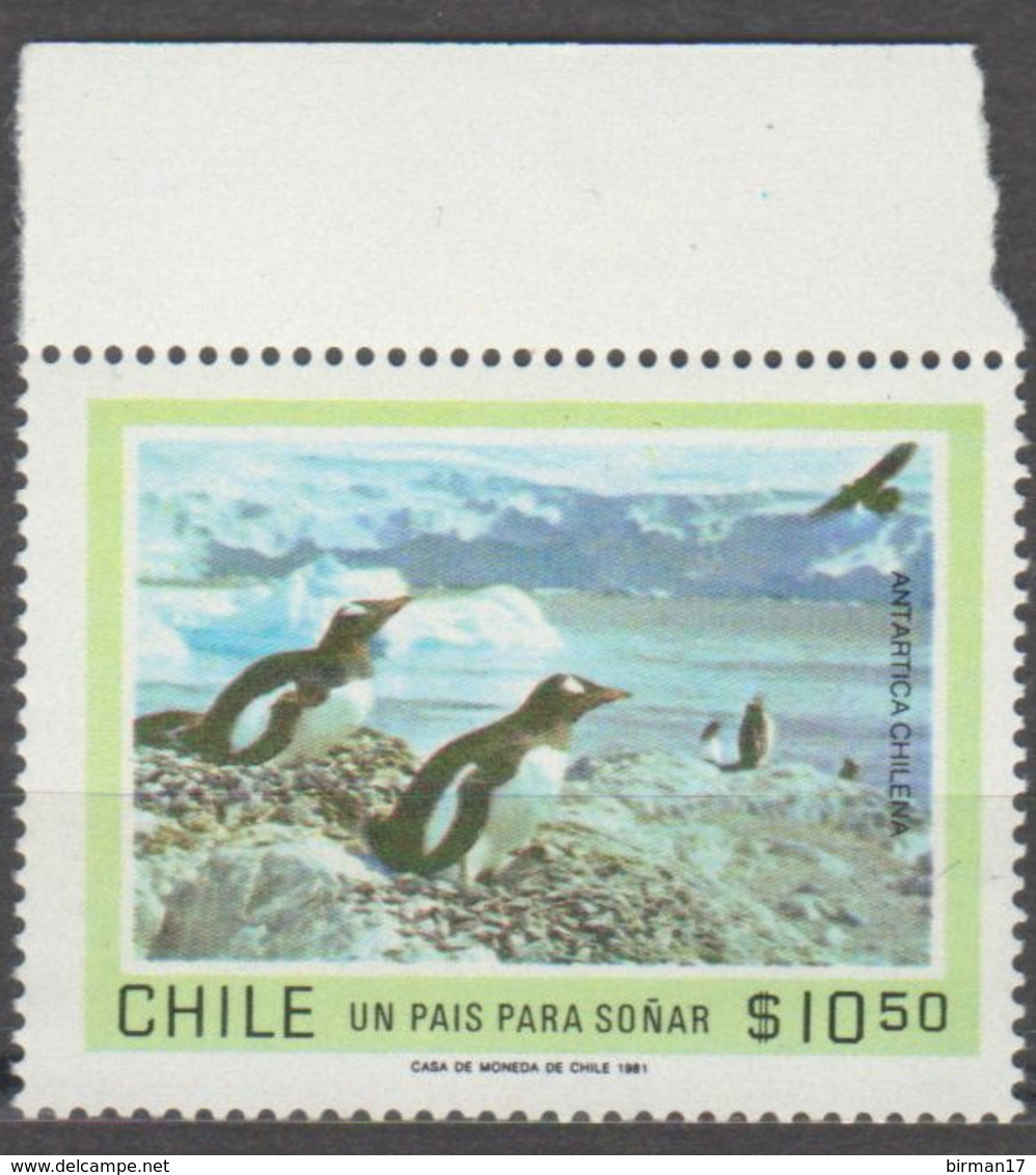 ANTARCTIQUE CHILI 1981 1 TP Antarctique Chilien N° 561 Y&T Neuf ** Mnh - Altri & Non Classificati