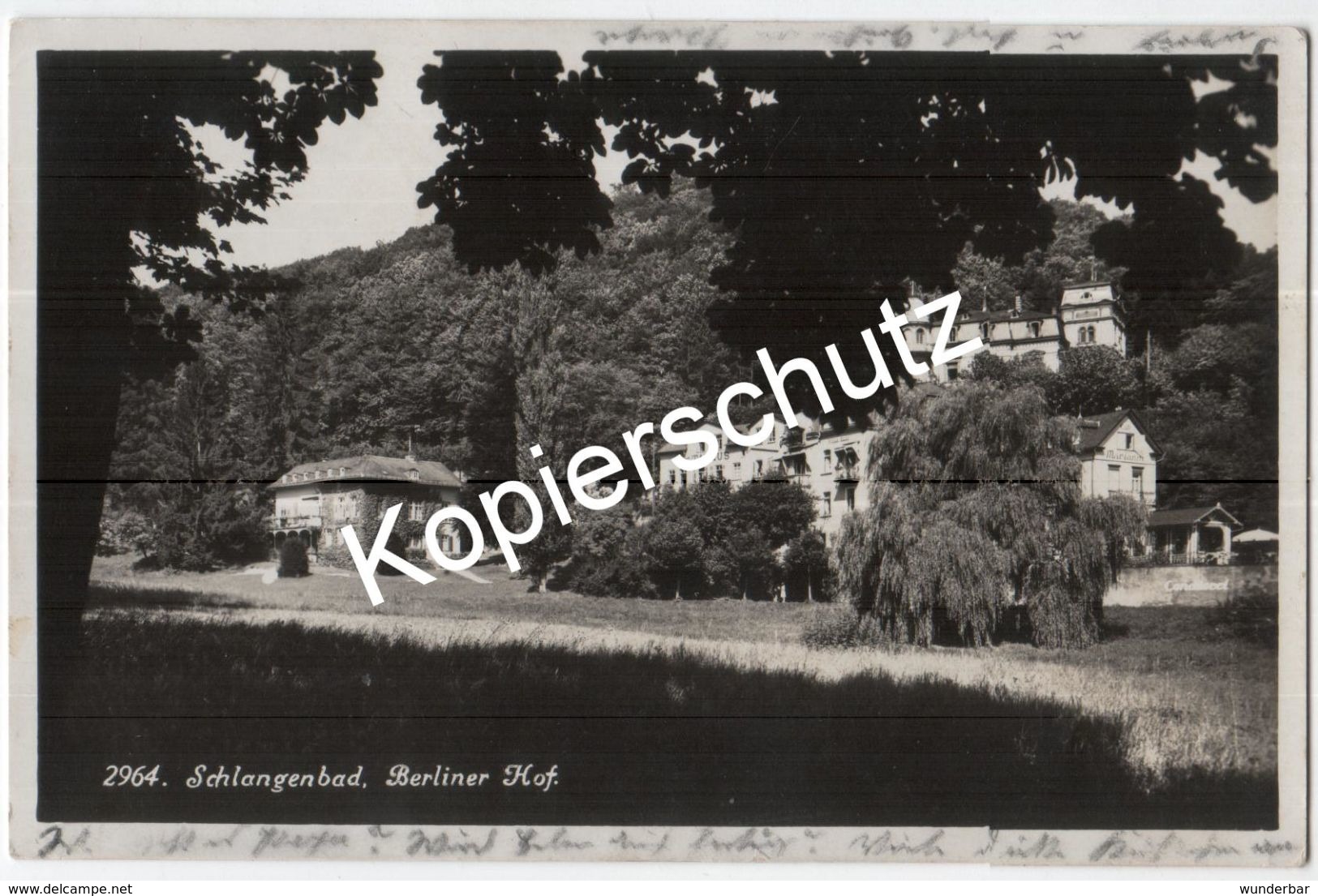 Schlangenbad, Berliner Hof  1933  (z6199) - Schlangenbad