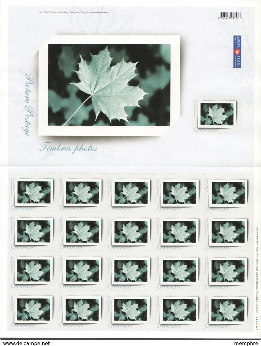 2004  Picture Postage - Picture Frame   MNH Sheet Of 21    Sc 2064 ** - Hojas Completas