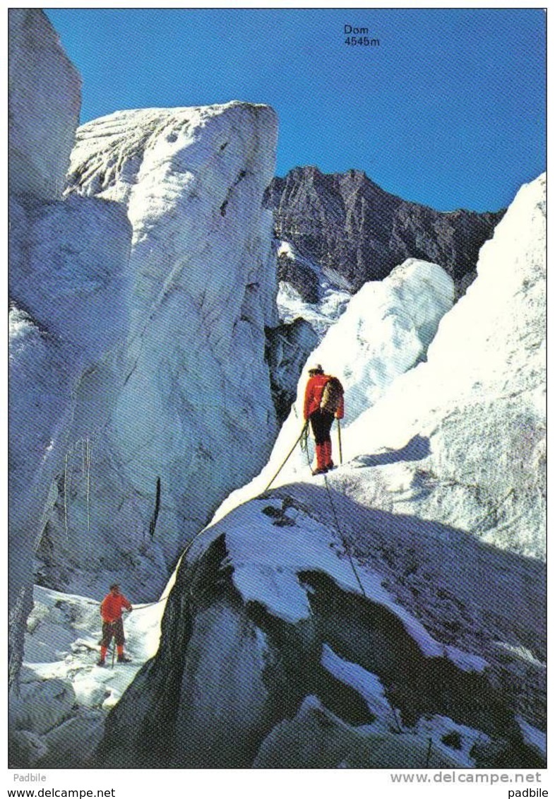 Carte Postale Escalade  Alpinisme à Saas-Fee  Trés Beau Plan - Bergsteigen