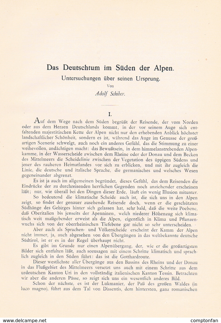 648 - Adolf Schiber Deutschtum Im Süden Der Alpen Etymologie Artikel Von 1903  !! - Contemporary Politics