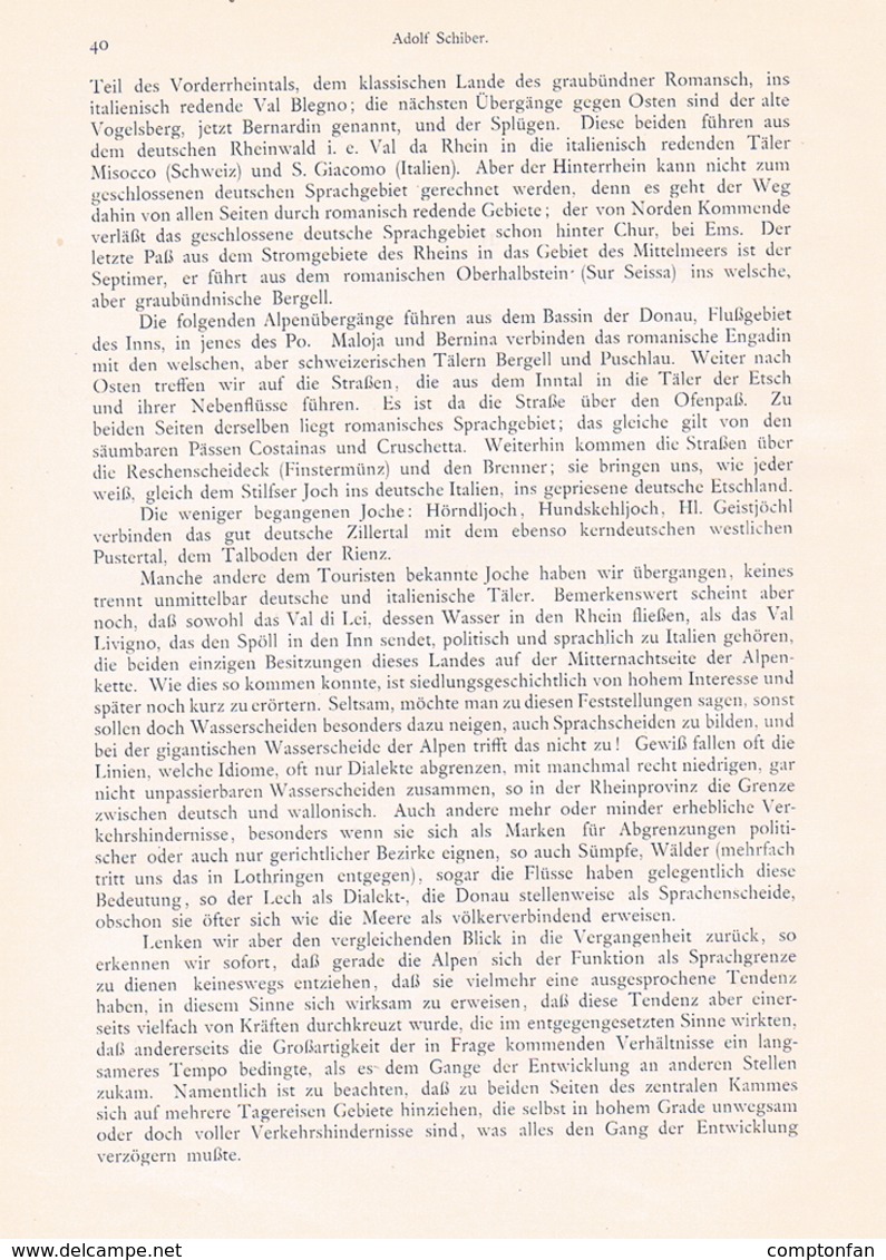 648 - Adolf Schiber Deutschtum Im Süden Der Alpen Etymologie Artikel Von 1903  !! - Politik & Zeitgeschichte