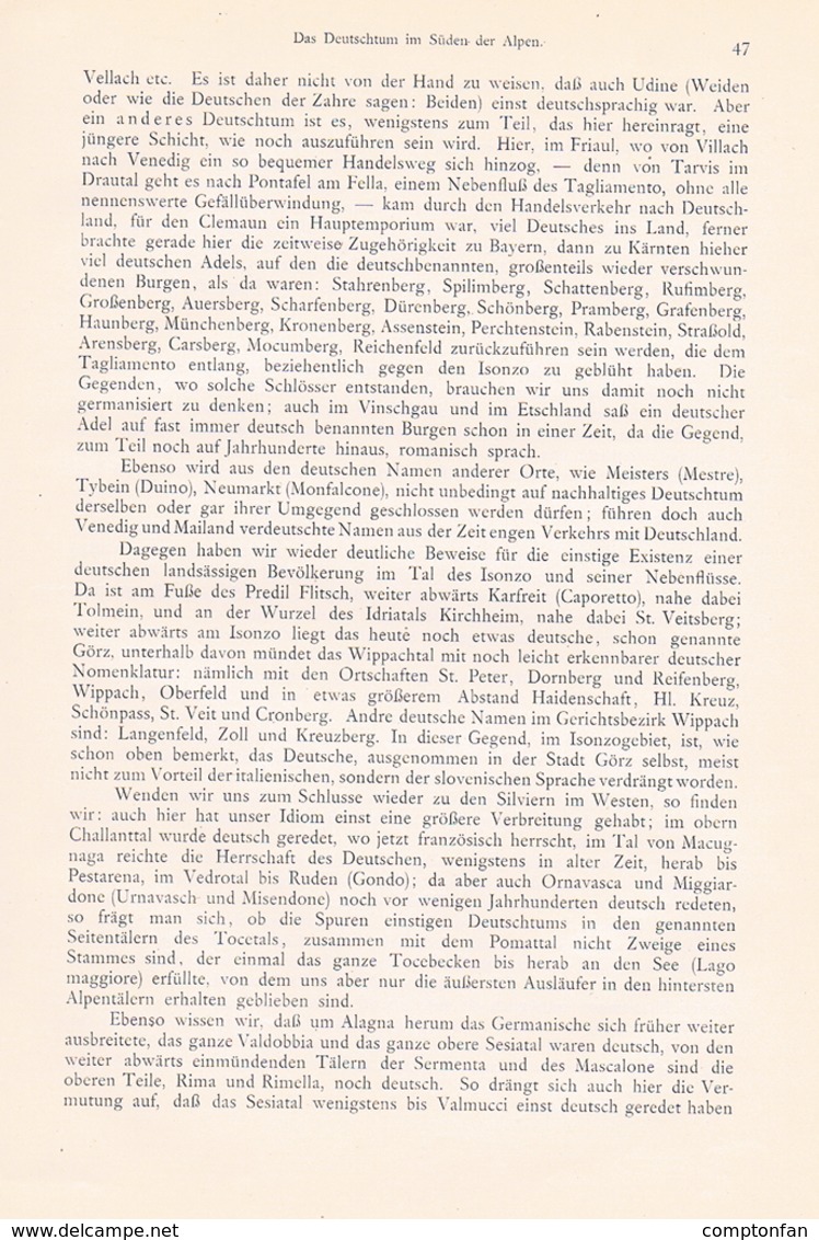 648 - Adolf Schiber Deutschtum Im Süden Der Alpen Etymologie Artikel Von 1903  !! - Politique Contemporaine