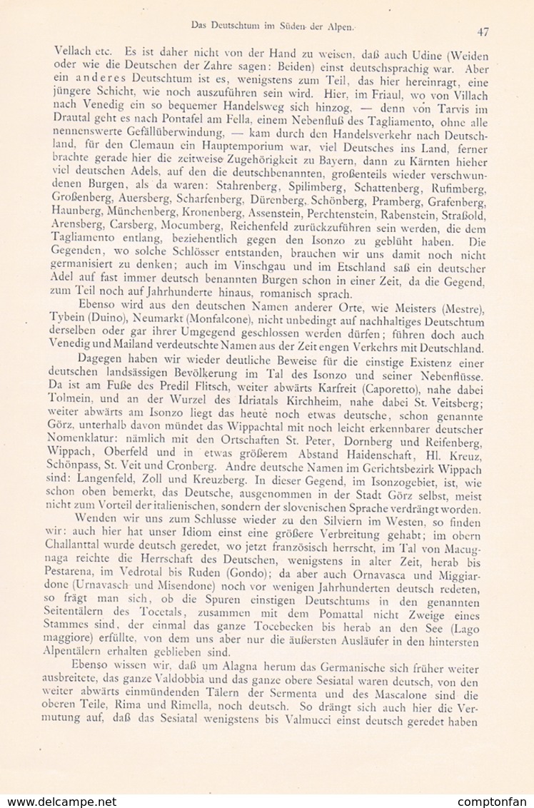 648 - Adolf Schiber Deutschtum Im Süden Der Alpen Etymologie Artikel Von 1903  !! - Politik & Zeitgeschichte