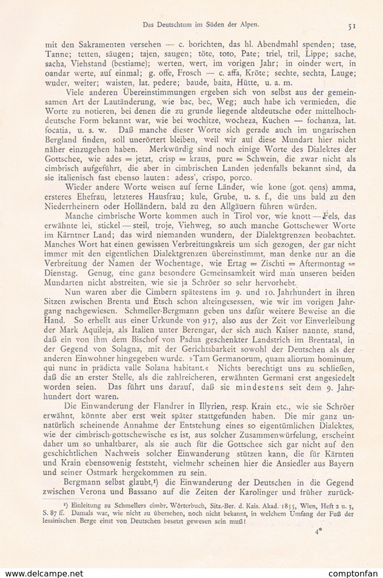 648 - Adolf Schiber Deutschtum im Süden der Alpen Etymologie Artikel von 1903  !!