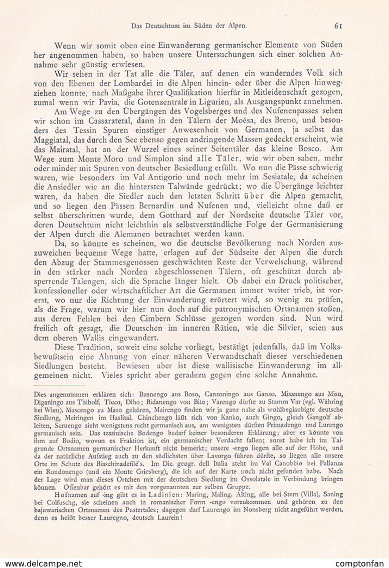 648 - Adolf Schiber Deutschtum im Süden der Alpen Etymologie Artikel von 1903  !!