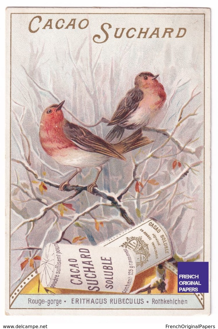 Jolie Chromo Cacao Chocolat Suchard Oiseau Ornithologie Rouge-Gorge Erithacus Rubeculus - Bird Robin Trade Card A38-65 - Suchard