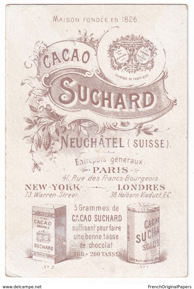 Jolie Chromo Cacao Chocolat Suchard Oiseau Ornithologie Rouge-Gorge Erithacus Rubeculus - Bird Robin Trade Card A38-65 - Suchard