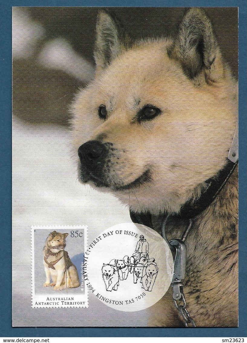 AAT 1994  Mi.Nr. 100 , The Last Huskies - Maximum Card - First Day Of Issue 13. January 1994 - Maximum Cards