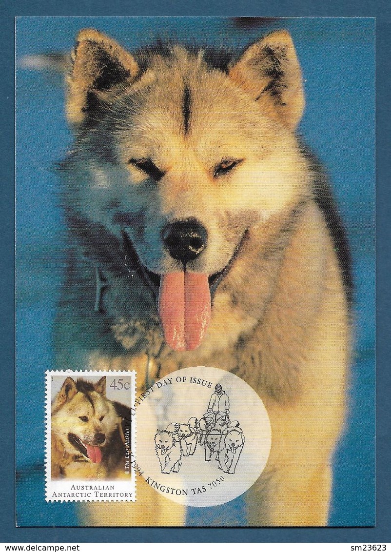 AAT 1994  Mi.Nr. 98 , The Last Huskies - Maximum Card - First Day Of Issue 13. January 1994 - Maximumkarten