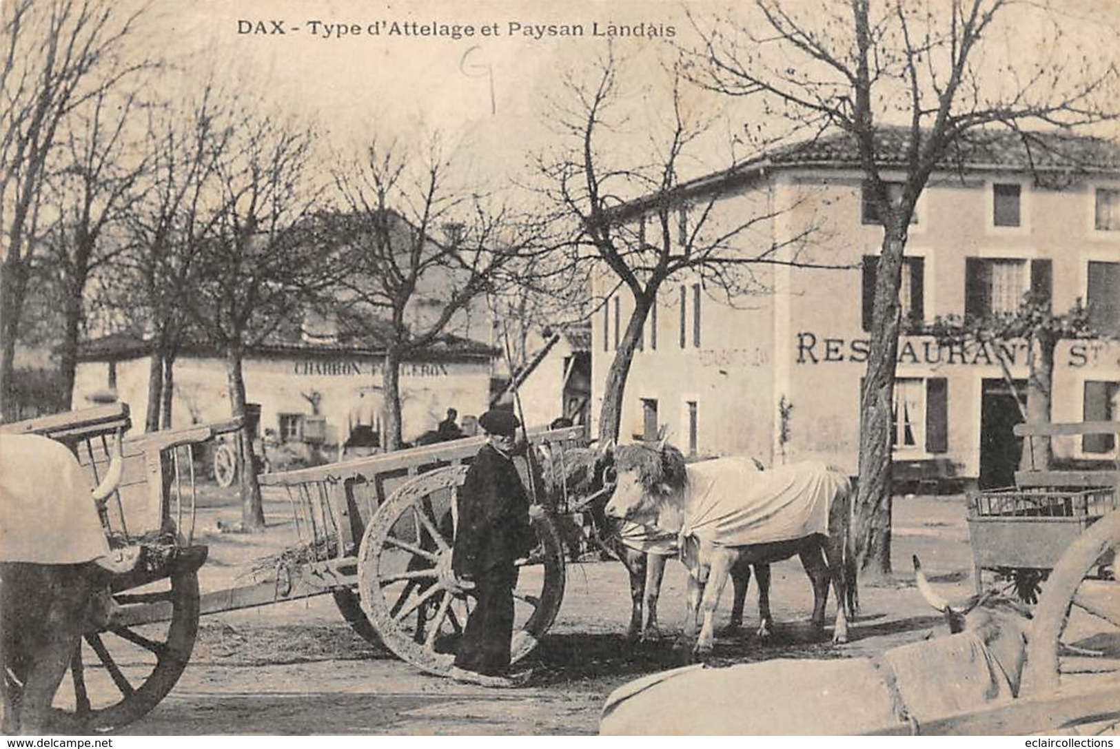 Dax        40          Type D'attelage Et Paysan Landais             (voir Scan) - Dax