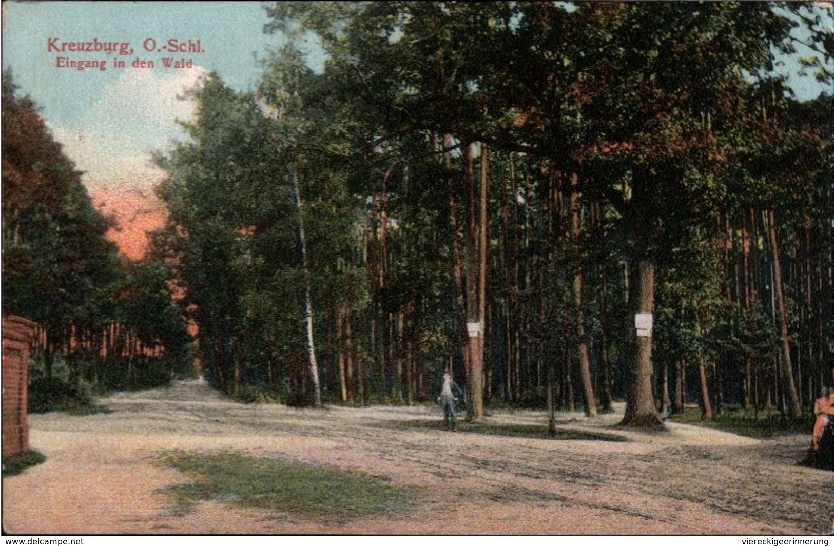 ! Alte Ansichtskarte Aus Kreuzburg In Oberschlesien, Wald, 1921, Haute Silesie - Schlesien