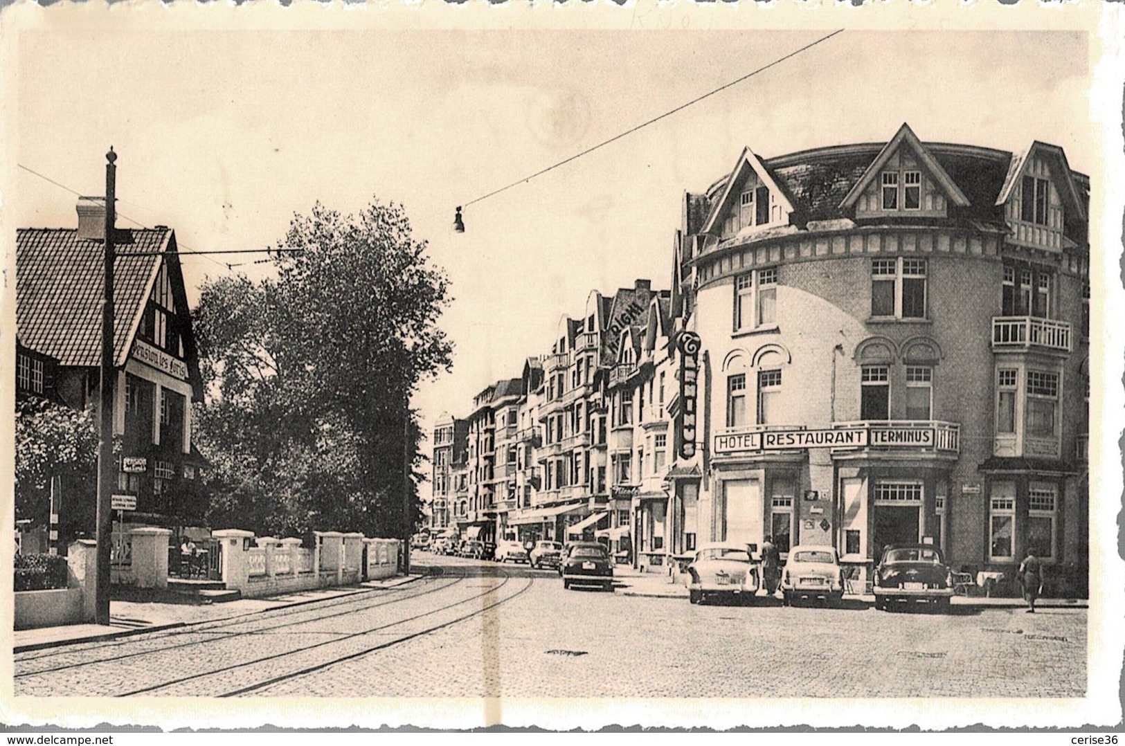 Knokke-Zoute Avenue Du Littoral Avec Hôtel-Restaurant " Le Terminus " - Knokke