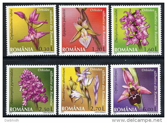 ROMANIA 2007 Wild Orchids Set Of 6 MNH / **.  Michel 6174-79 - Unused Stamps