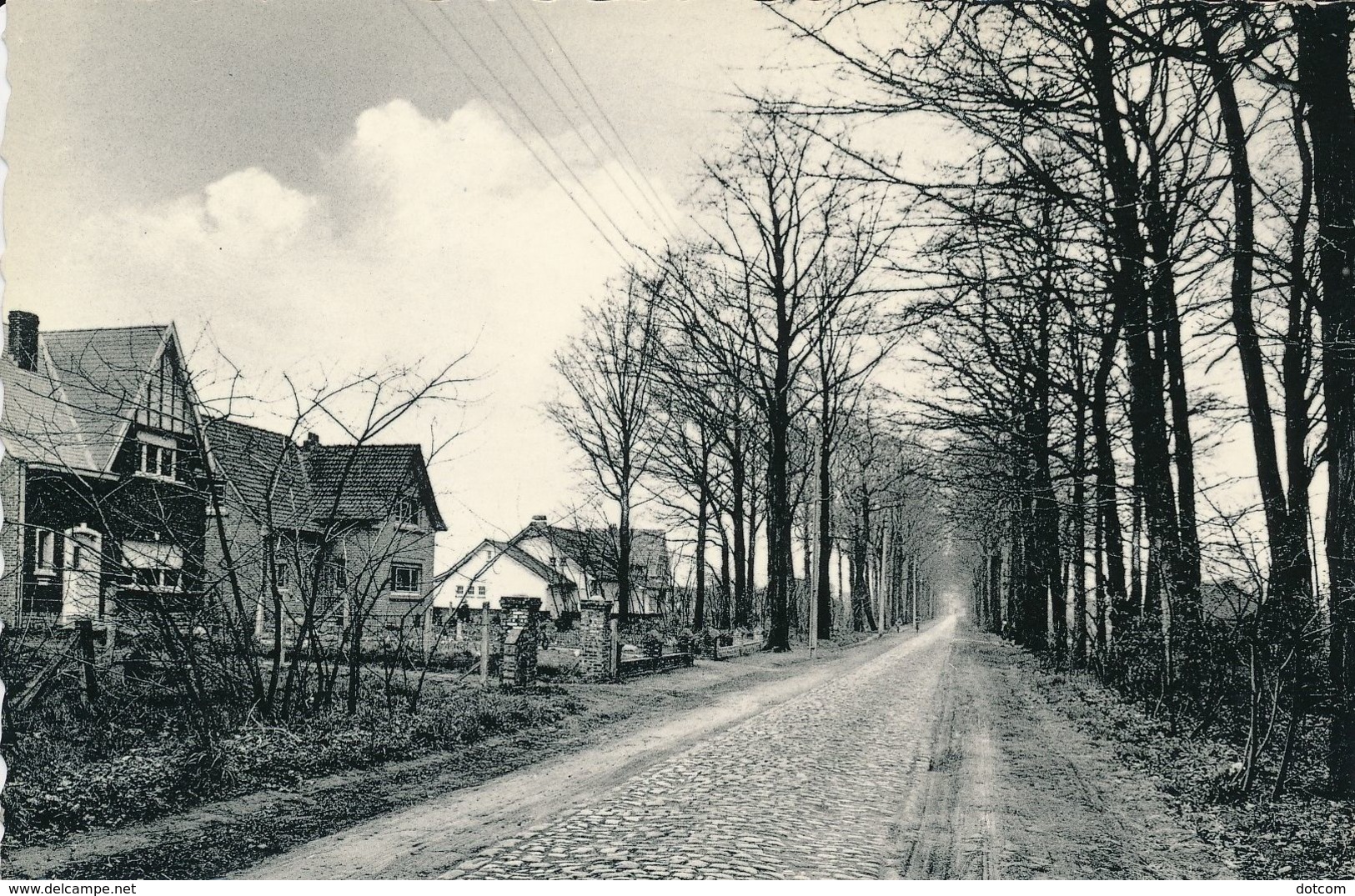 BONHEIDEN - Berentrodedreef - Bonheiden