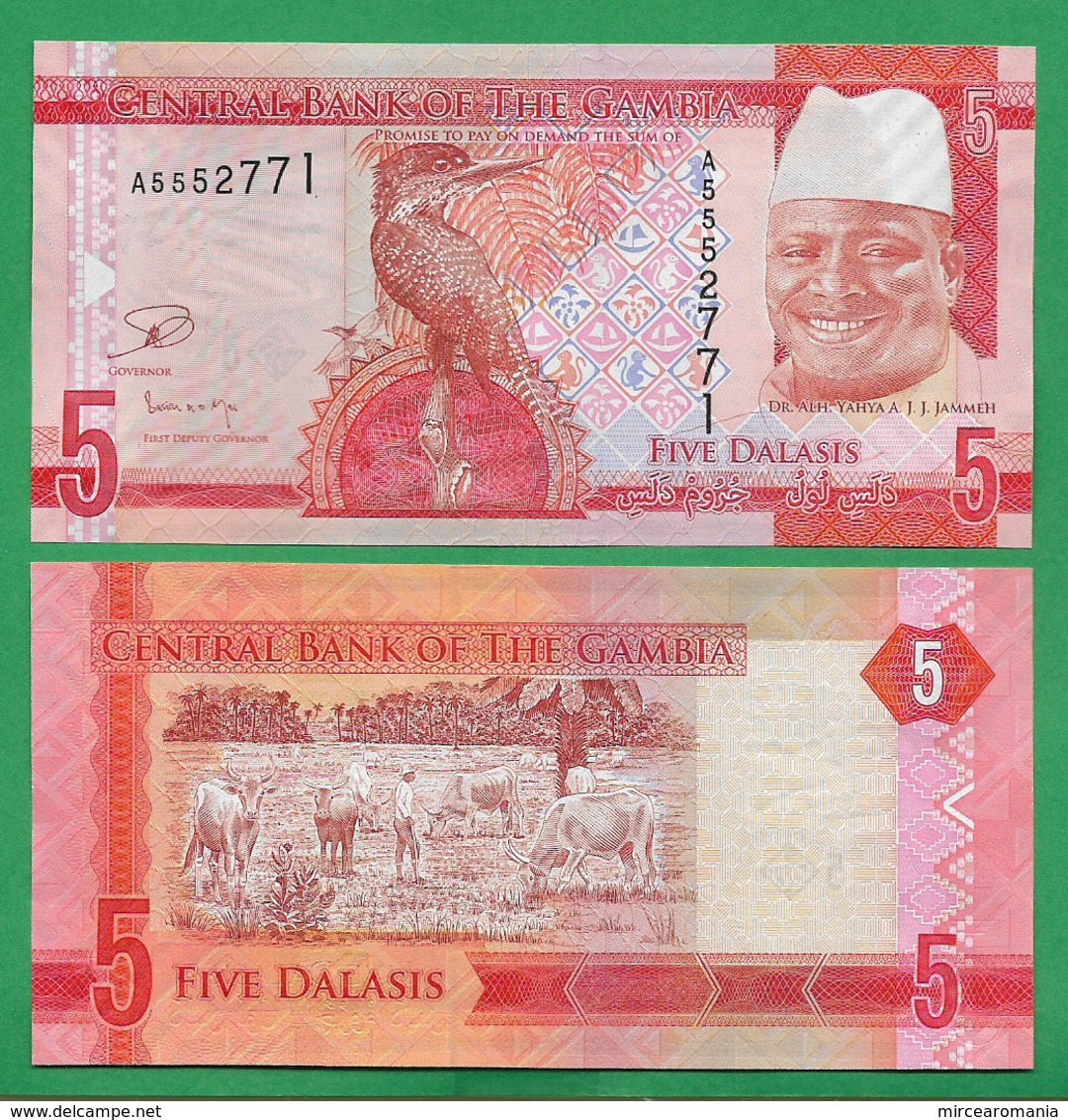 GAMBIA - 5 DALASIS – 2015 - UNC - Gambia