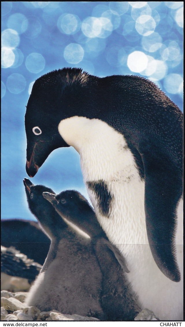 PENGUINS-ICEBERGS-MARINE LIFE-50th An OF JAPANESE ANTARCTIC RESEARCH EXPEDITION-SET OF 5 PPCs-IC-290 - Research Programs