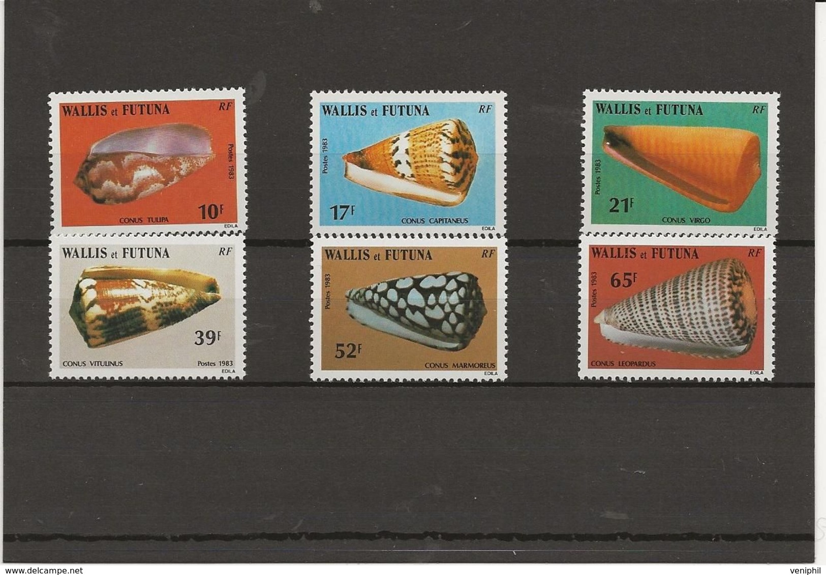 WALLIS ET FUTUNA -COQUILLAGES - SERIE N° 306 A 311 -ANNEE 1983 - Neufs