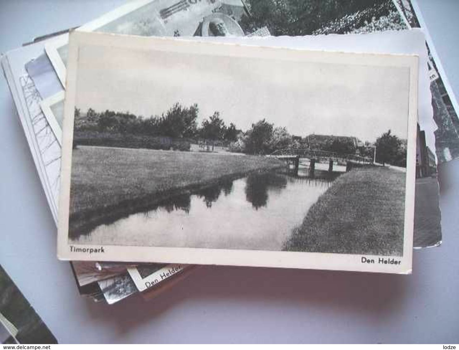 Nederland Holland Pays Bas Den Helder Met Brug In Het Park Timor - Den Helder