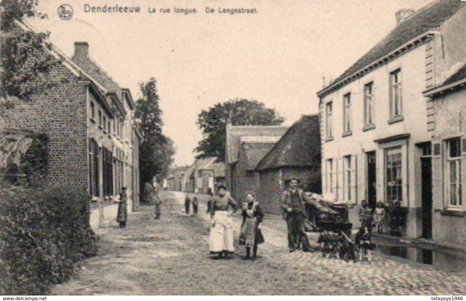 Denderleeuw   La Rue Longue Animée Charette Tirée Par Des Chiens Circulé En 1908 - Denderleeuw