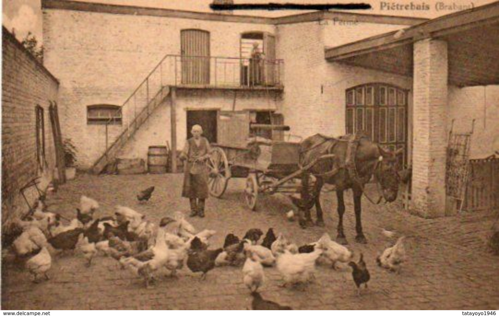 Piétrebais  (brabant) La Ferme N'a Pas Circulé - Incourt