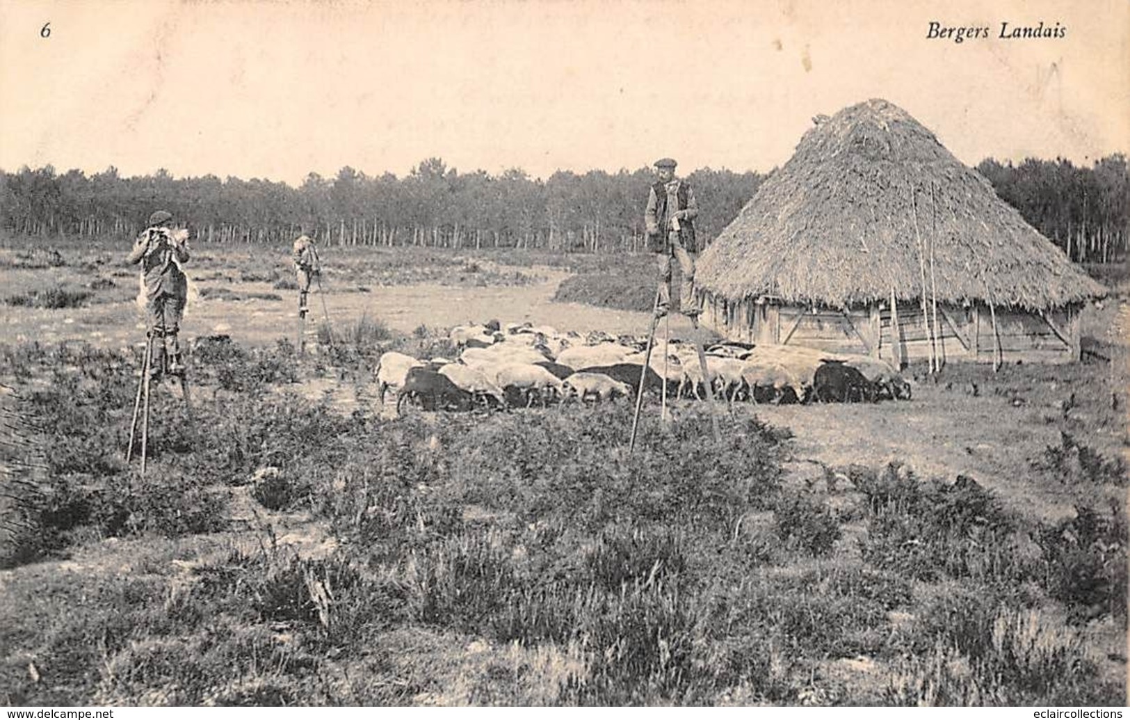 Landes     40      Non Localisé  .Échassiers Et Bergers : Bergers Landais    (voir Scan) - Other & Unclassified