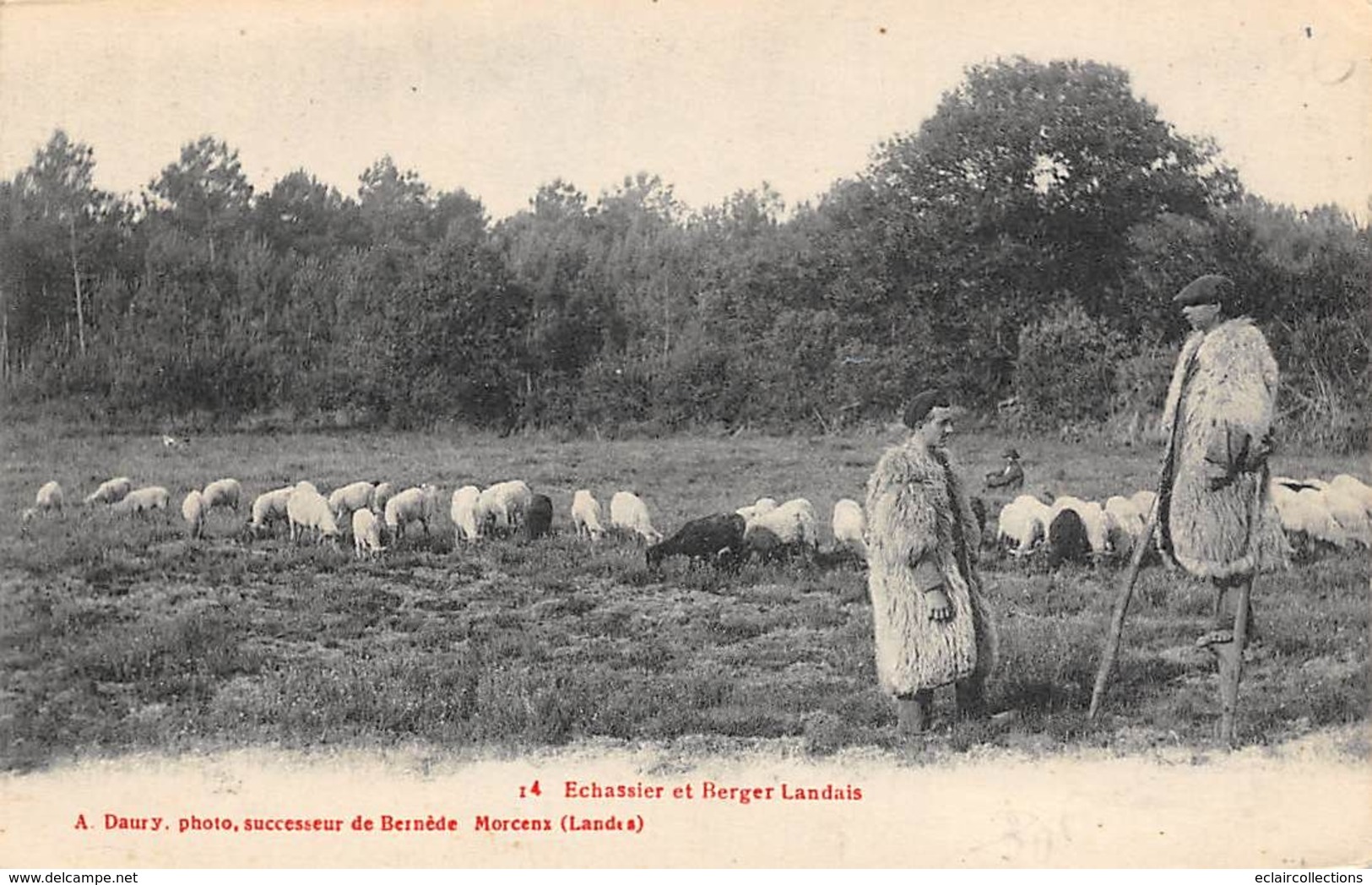 Landes     40      Non Localisé  .Échassier Et Berger Landais       (voir Scan) - Autres & Non Classés