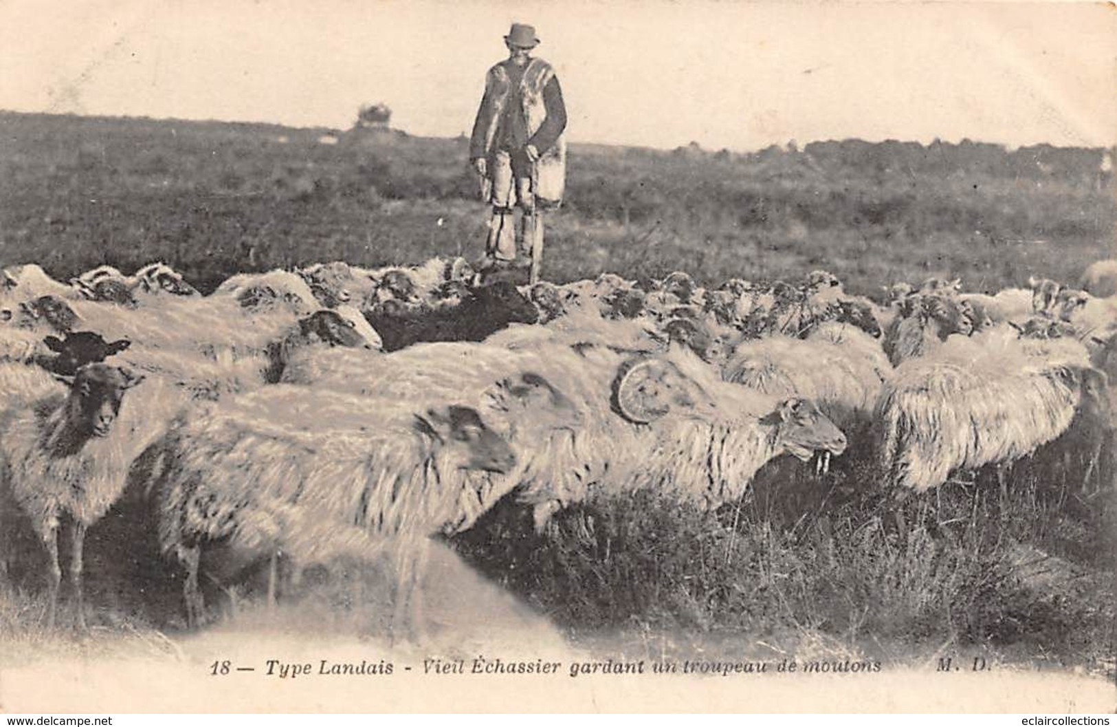 Landes     40      Non Localisé  . Vieil échassier Gardant Son Troupeau De Moutons      1      (voir Scan) - Andere & Zonder Classificatie