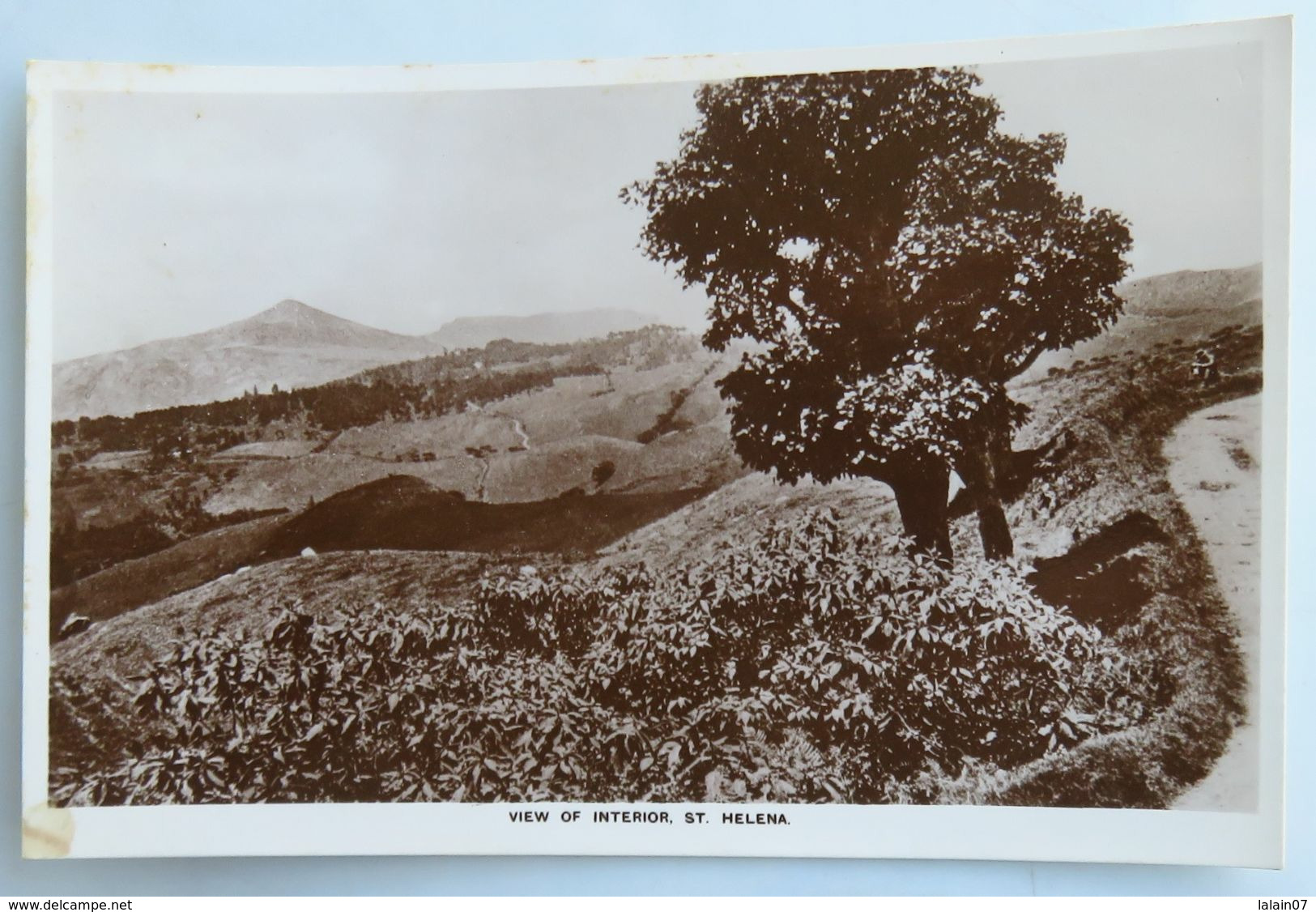 C. P. A. : SAINTE-HELENE , ST. HELENA : View Of Interior - St. Helena