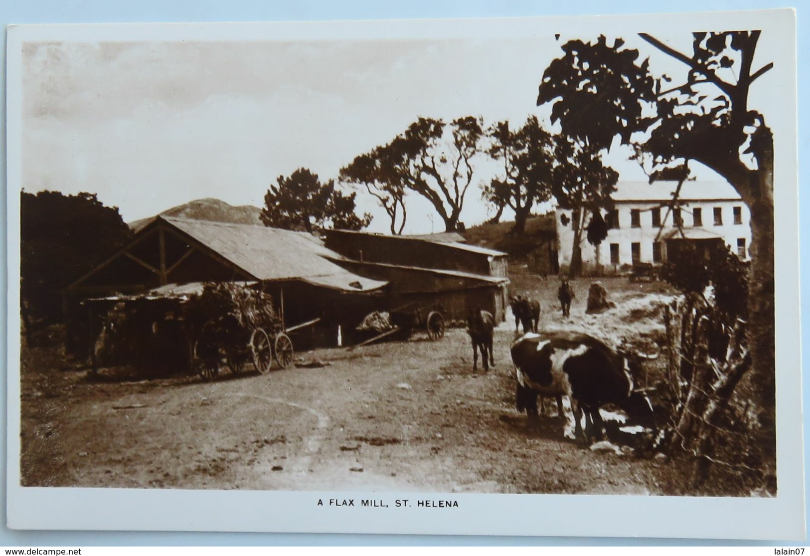 C. P. A. : SAINTE-HELENE , ST. HELENA : A Flax Mill - Sant'Elena